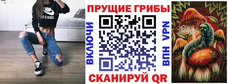 Галлюциногенные грибы Cubensis  Хвалынск 